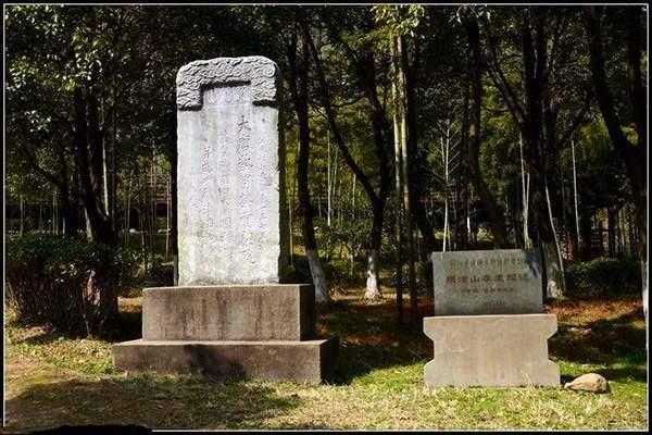 贡茶有什么功效，贡茶有什么功效与作用（贡茶品目及贡茶制作方法全面解析）