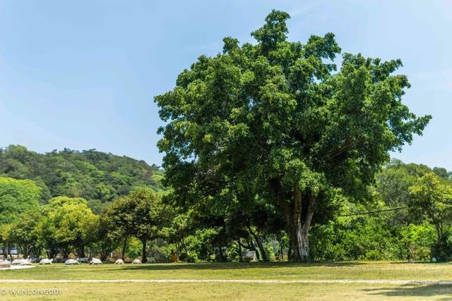 南澳岛好玩吗，南澳岛最值得去的景点（盘点南澳岛必去的三个景点）