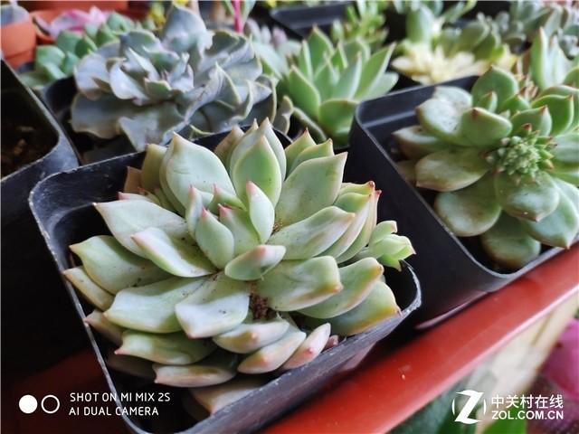 百分九少年团~，微信头像，百分九少年团~（2S评测：真旗舰要超越自己）