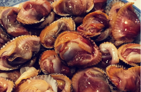 毛蚶的做法水煮几分钟，毛蚶煮几分钟（毛蚶煮多长时间可以吃）