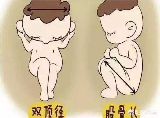 39周股骨长标准，怀孕39周股骨径是多少正常值（通过双顶径股骨数据来看男孩女孩的方法准吗）