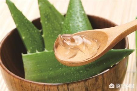 纯天然万能芦荟胶，万能芦荟胶真的有这么神奇吗