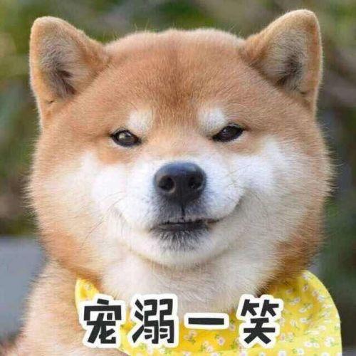 给自己生日的祝福，给自己生日祝福语（最新祝自己生日快乐说说祝福语）