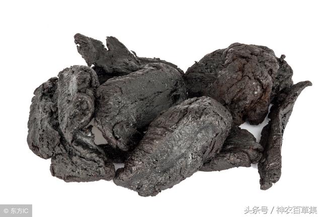 生地泡水喝的功效，生地泡水喝的功效与作用及禁忌（熟地黄泡水的五大功效及两种食用方法）