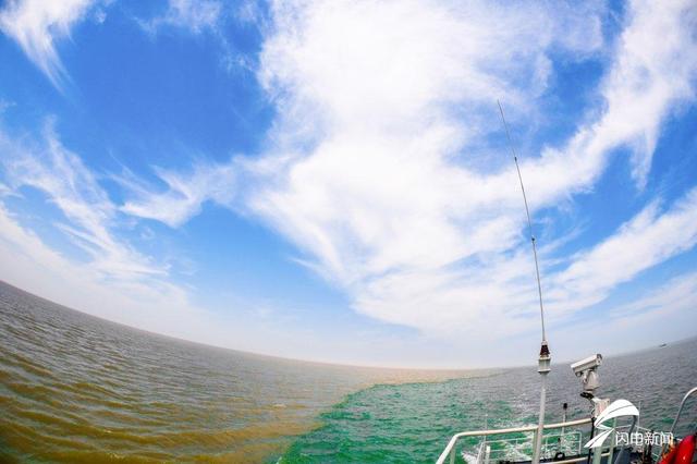 黄河入海口在哪里，黄河入海口在什么地方（东营黄河入海口再现“蓝黄交界”景观）
