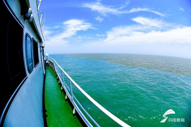 黄河入海口在哪里，黄河入海口在什么地方（东营黄河入海口再现“蓝黄交界”景观）