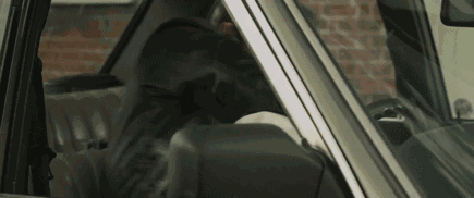 车上有蟑螂怎么除，车上有蟑螂怎么除 -baijiahao（夏天车内蚊子太多影响开车怎么破）