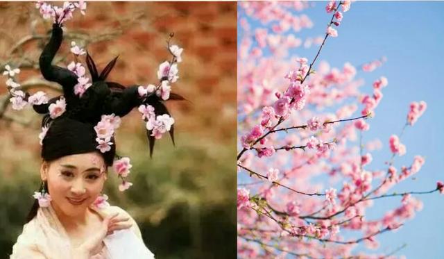 三生三世枕下卷结局，三生三世枕上书东华结局是什么（杨幂和热巴这些造型才叫奇葩）