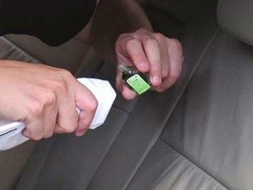 车上有蟑螂怎么除，车上有蟑螂怎么除 -baijiahao（夏天车内蚊子太多影响开车怎么破）