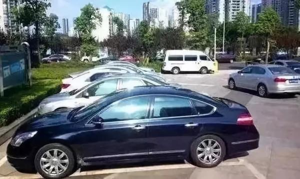 车上有蟑螂怎么除，车上有蟑螂怎么除 -baijiahao（夏天车内蚊子太多影响开车怎么破）