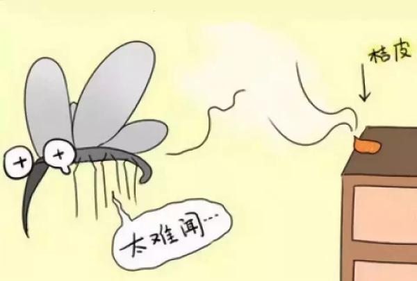 车上有蟑螂怎么除，车上有蟑螂怎么除 -baijiahao（夏天车内蚊子太多影响开车怎么破）