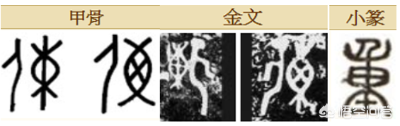 杳怎么读 杳字的解释，杳怎么读（咬文嚼字：）