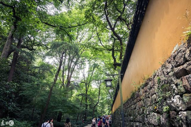 济公在哪个寺庙出家，济公在哪个寺庙（济公并没有在杭州灵隐寺出家）