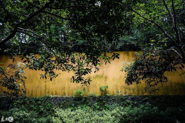 济公在哪个寺庙出家，济公在哪个寺庙（济公并没有在杭州灵隐寺出家）