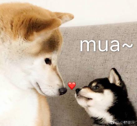 感恩节是几月几日 感恩节的传统活动有哪些，感恩节是几月几日（2018年感恩节是几月几日星期几）