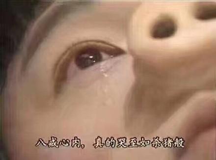 大猪蹄子是什么意思，大猪蹄子是什么意思?男人都是大猪蹄子出自哪里（“大猪蹄子”也是好男人）