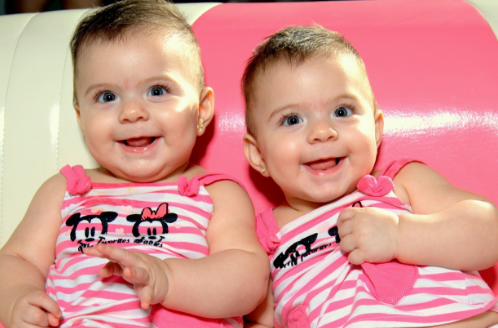 属猪人出生月的命运，属猪人命最苦是几月（2019年哪个月出生最好）