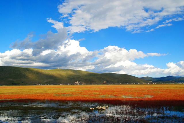 去丽江古城要多少钱，丽江旅游得多少费用（去丽江玩需要花多少钱）