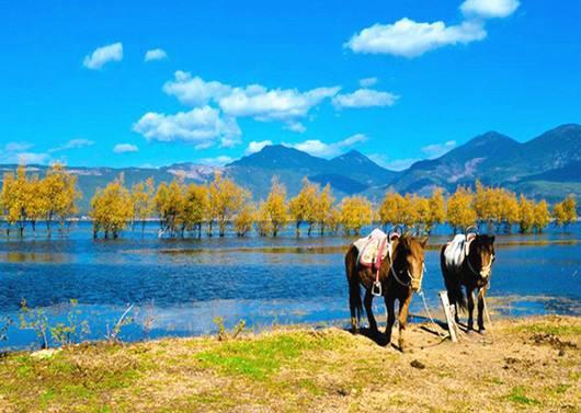 去丽江古城要多少钱，丽江旅游得多少费用（去丽江玩需要花多少钱）