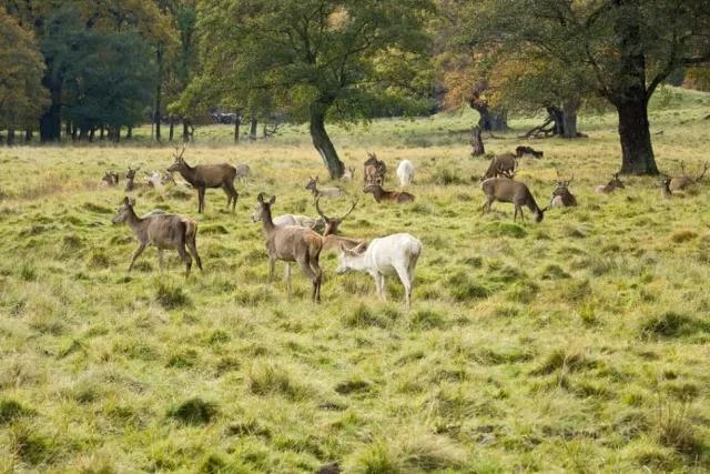 丹麦与中国时差，中国和丹麦时差几小时（成都开通直飞北欧“童话世界”）