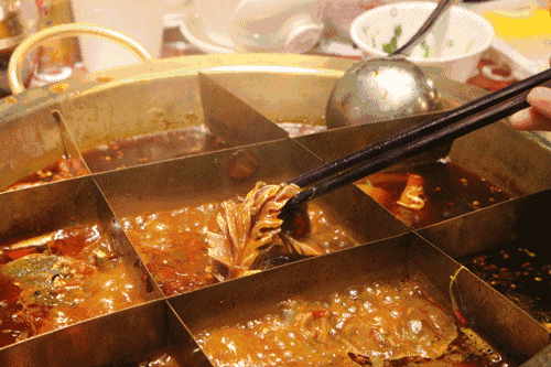 香菜学名你知道多少，香菜学名你知道多少种香菜（人类对香菜的爱恨为何这样分明）