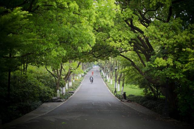 杭州西湖十景是哪十景，西湖十景是哪十景（领略杭州风光之精华）