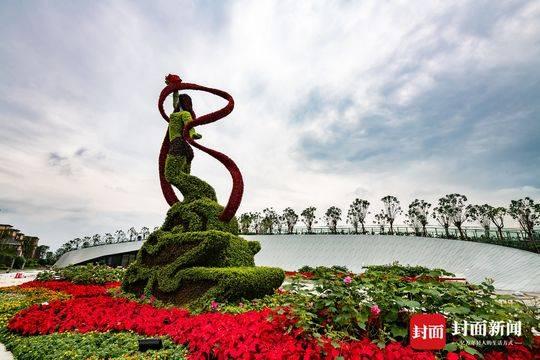 芙蓉花什么时候开，芙蓉花什么季节开花（9月28日成都天府芙蓉园开园）