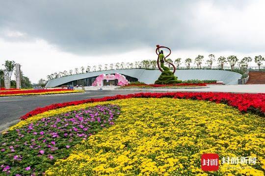 芙蓉花什么时候开，芙蓉花什么季节开花（9月28日成都天府芙蓉园开园）