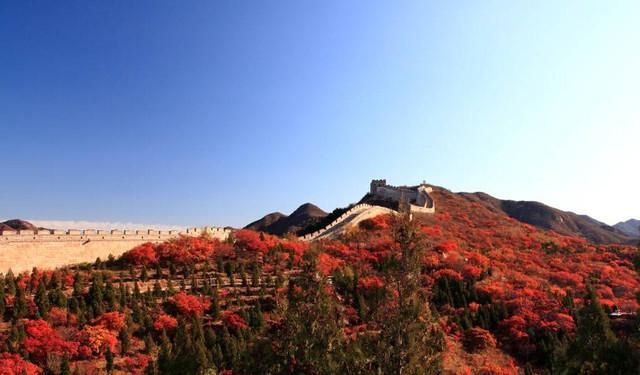 怀柔有什么好玩的地方，北京怀柔有什么好玩的地方（赏枫、滑雪、漂流、野长城）