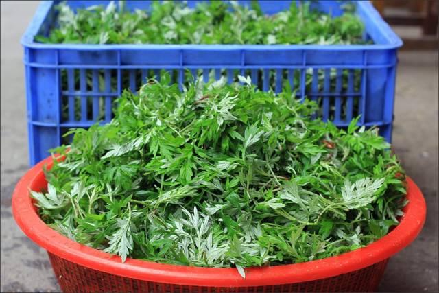 艾草生姜煮水洗头发正确方法，用艾草煮水洗头后....简直惊呆了（一位诸暨的母亲用艾叶煮水）