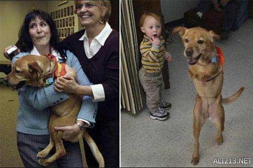 动物的绝招有哪些，动物有哪些过冬的绝招（全球35只身怀绝技的天才小动物）