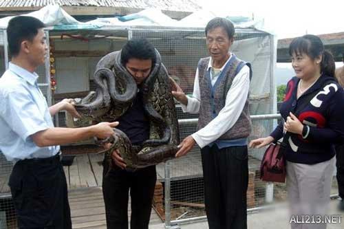 动物的绝招有哪些，动物有哪些过冬的绝招（全球35只身怀绝技的天才小动物）