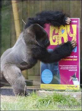 动物的绝招有哪些，动物有哪些过冬的绝招（全球35只身怀绝技的天才小动物）