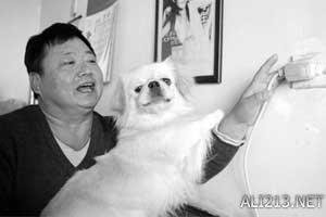 动物的绝招有哪些，动物有哪些过冬的绝招（全球35只身怀绝技的天才小动物）