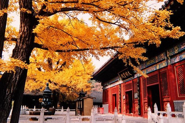 怀柔有什么好玩的地方，北京怀柔有什么好玩的地方（赏枫、滑雪、漂流、野长城）
