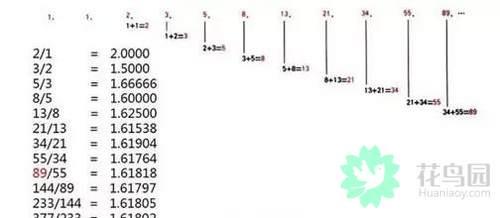 黄金螺（黄金螺旋线，植物身上隐藏着的数学奥秘！（关于黄金螺旋线的资料）