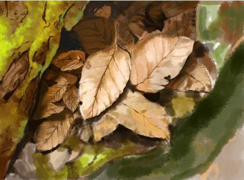 sketchbook怎么导出图片，sketchbook怎么保存（手绘APP，推荐这几款）