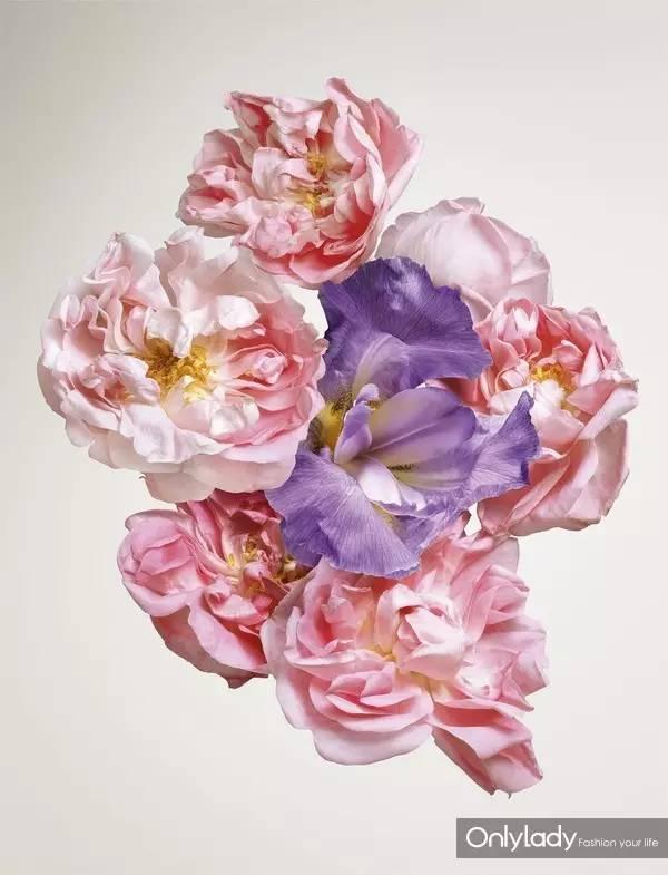 Only For You网名，Only For You微信昵称（只为你）微信昵称（明星们的私藏香水我们扒出来了）