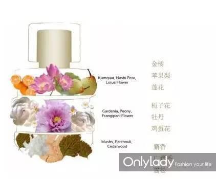 Only For You网名，Only For You微信昵称（只为你）微信昵称（明星们的私藏香水我们扒出来了）