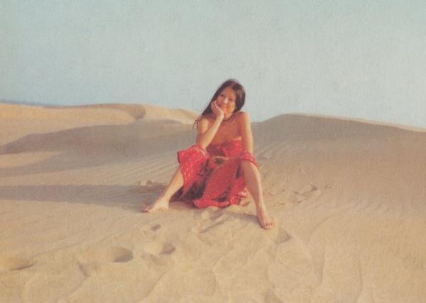 追梦人歌词，追梦人歌词是谁写的（《追梦人》——青春无悔不死）