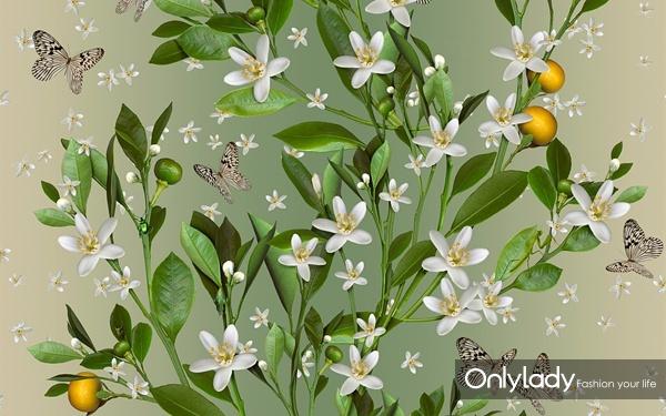 Only For You网名，Only For You微信昵称（只为你）微信昵称（明星们的私藏香水我们扒出来了）