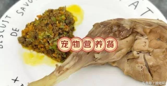 除了狗粮小狗还能吃什么，狗狗可以吃的东西还有很多