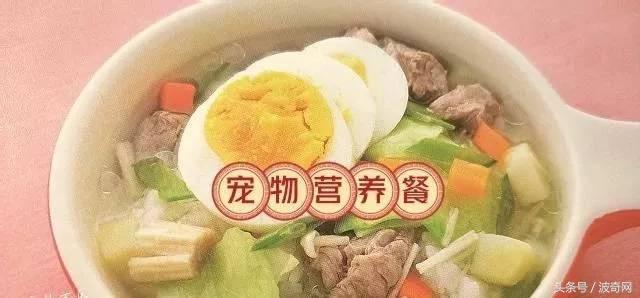 除了狗粮小狗还能吃什么，狗狗可以吃的东西还有很多