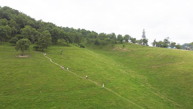 关山牧场门票多少钱，关山牧场旅游攻略（关山草原一日游）