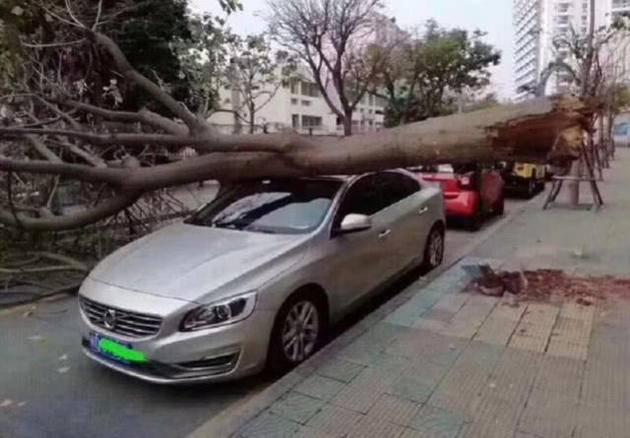 汽车的A柱B柱C柱分别是什么，车辆a柱b柱c柱（关于车身用料那些事儿）