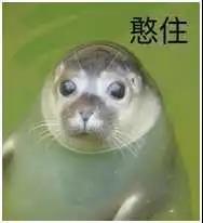 车险千万不要提前买，为什么车险千万不要提前买（为什么车主要提前续保车险）