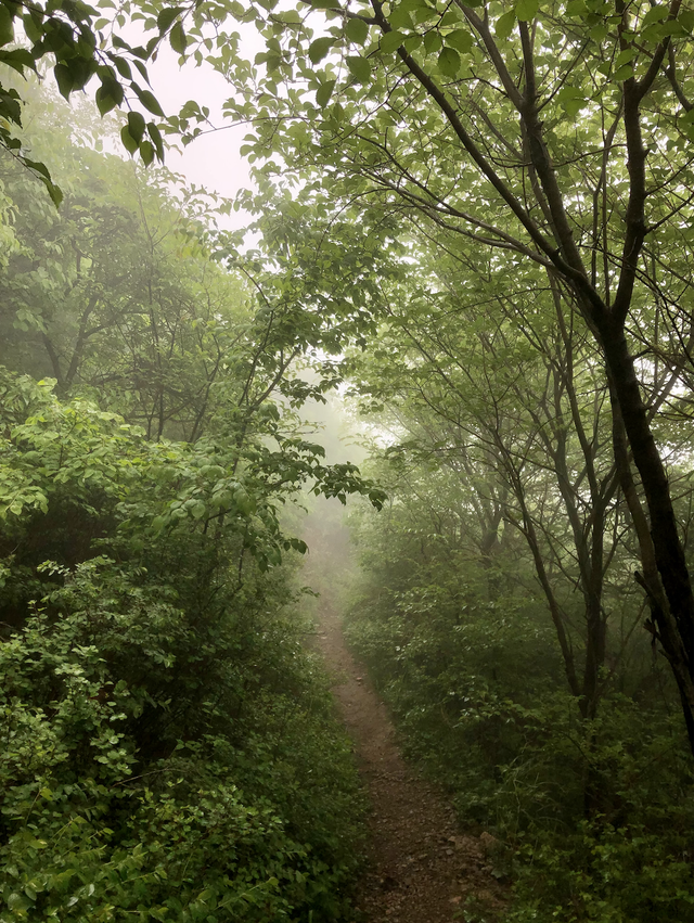 长城在北京哪个位置，长城在北京的位置（推荐一条不出京的越野线路）