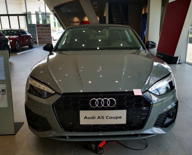 奥迪单开门的车有哪些，奥迪单开门的车有哪些型号（奥迪造了年轻人第一辆跑车）