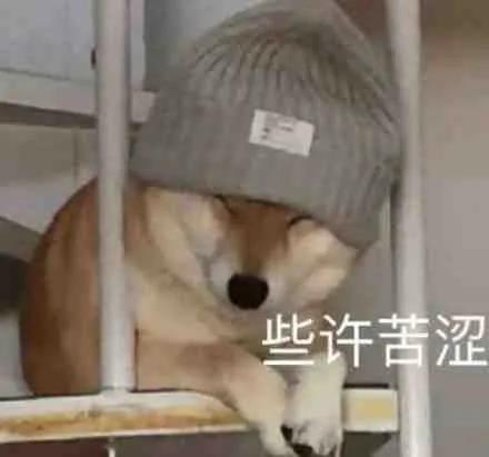 车险千万不要提前买，为什么车险千万不要提前买（为什么车主要提前续保车险）