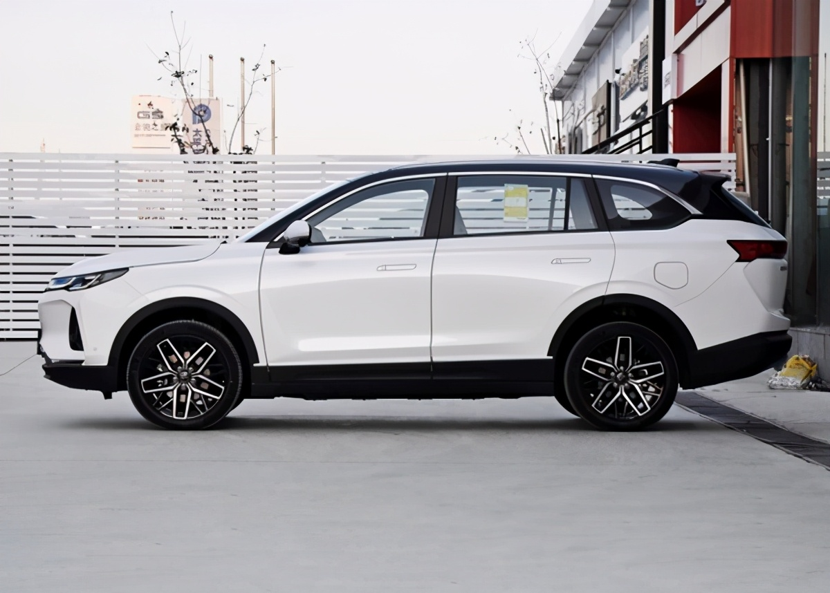 阳光里程（25万买纯电中型SUV）